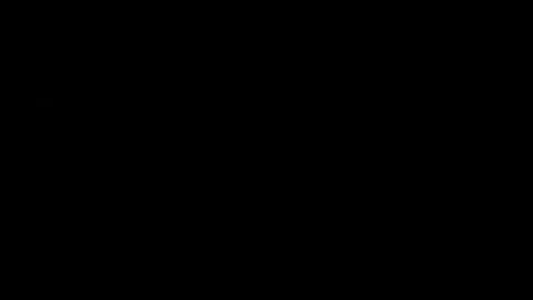 Logotipo de Hollyland, cliente de XVTRENDS